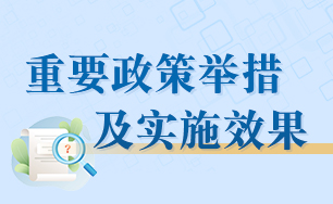 重要政策舉措及實施效果